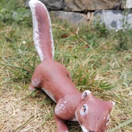 Градинска Фигура Катерица бягаща - TGC155